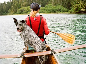 Top 25 Dog-Friendly Vacations, From Beach Runs to Pup-Loving Bar Crawls