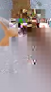 Shade versus kitty track toy. 🤣 | Midnight the Rescue Panther