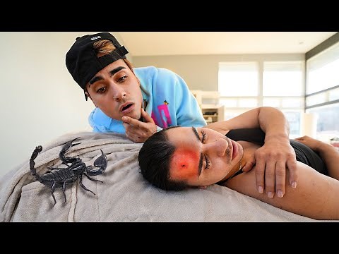 A Scorpion STUNG Our Brother!