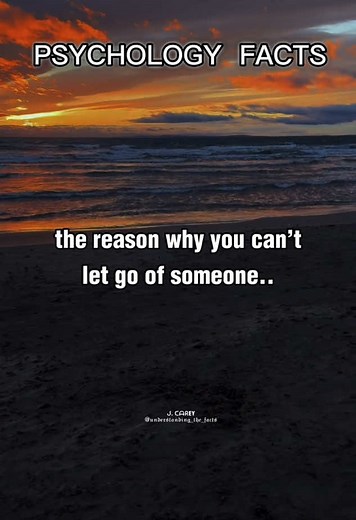 Understanding Love Facts: Insights and Interesting Tidbits