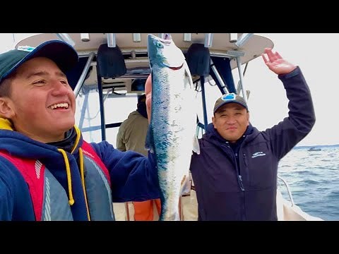 PURSUING PUGET SOUND RESIDENT COHO SALMON | Paul Kim of Seattle Squid Guide Service