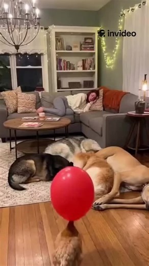 @trendyvideos.aii on Instagram: "🤣🤣"