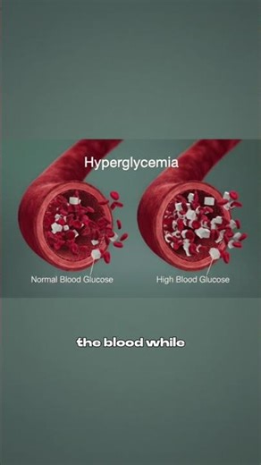 Fat cells feast while muscles starve. Here's what's happening inside...