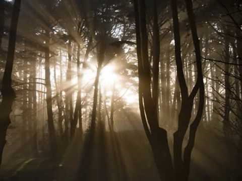 "Joseph Smith's First Prayer"