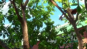 Toy Story Scene | Tyler Roberts | U1151446