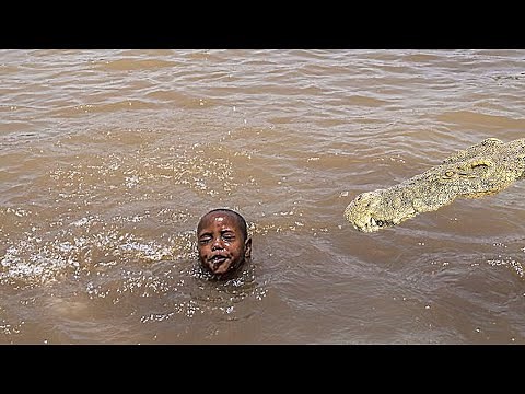 A Crocodile Named "Osama" Consumed 83 People