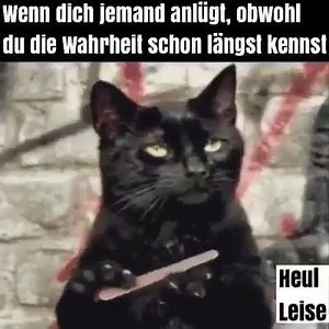 35K views · 440 reactions | Guten Morgen Bilder on Reels | Facebook