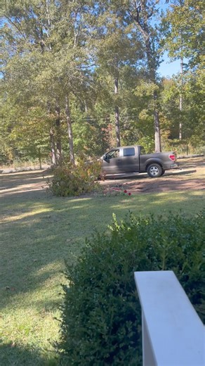 1M views · 46K reactions | Today I planted turnip greens, collards,...