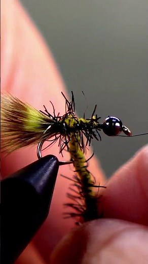 Simple Bugger #flytying #fishingtips #fishinglife