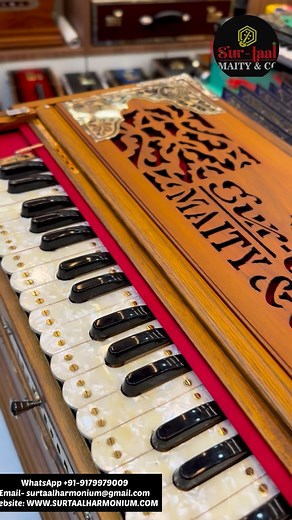 3K views · 2.5K reactions | Best Standing Non-Folding Harmonium |...