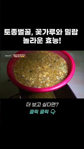 토종벌꿀, 꽃가루와 밀랍의 놀라운 효능! | 리얼다큐 숨