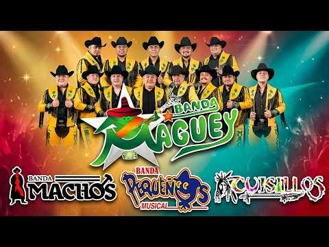 💖 Bandas Viejitas Pero Bonitas Mix 🎺 Machos, Cuisillos, Pequeños Musical 💟 Románticas y Movidas