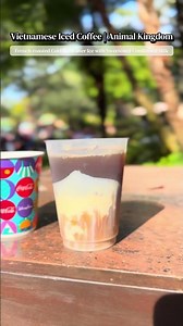 You need to try the Vietnamese Iced Coffee from Isle of Java in Animal Kingdom