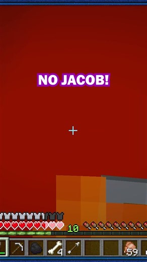 My Minecraft Experience in a Nutshell 🥜 | Minecraft