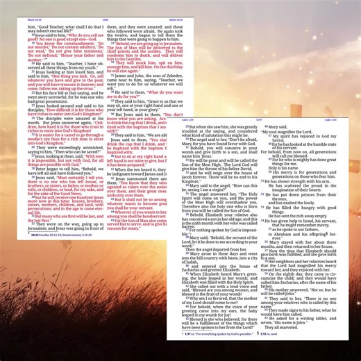 Holy Bible the 2020 Public Domain Bible- 1535 Pages - Digital Download - PDF - Etsy