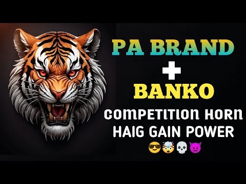 PA brand + Banko New dj demo 🔥 competition demo horn #dj #djdemo