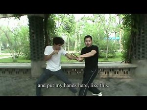 Hòu Tiān Bāguà Zhǎng - Application part 1