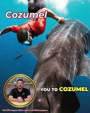 Royal Caribbean 2025 Payline COMPED Cruise Paradise!