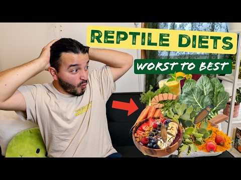 Reptile Diet Tier List: Insects, Greens, & Smoothie Mixes