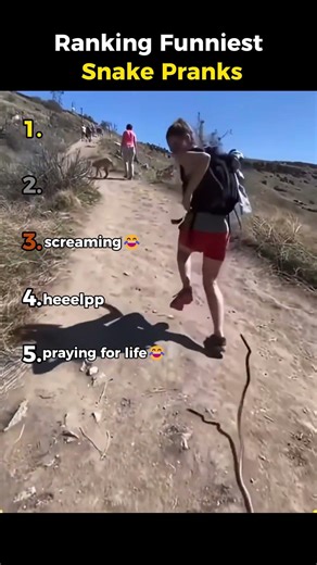 Ranking Funniest Snake Pranks 🤣