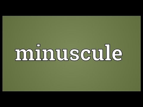 Minuscule Meaning