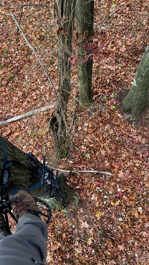 1K views · 2.4K reactions | Had big plans to test out the new bow holder I made this hunt….. Gravity had other ideas. | Laurel Mountain Outfitters | Facebook