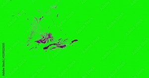 4k Colorful Isolated Particles on green screen perfect for compositing into your cgi scene. 3d vfx with fireworks explosion effect.