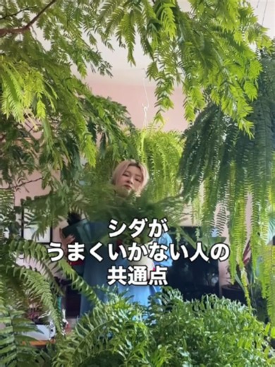 植物ケア：水やり回数より大切な「環境」の整え方