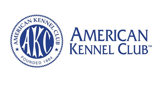 2024 AKC Diving Dogs Challenge (7/4/24) - Live Stream - Watch ESPN