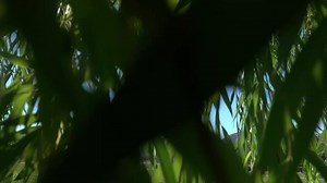 267K views · 10K reactions | ANIVAR - Билет в бесконечность (Премьера клипа, 2022) | Anivar | Facebook