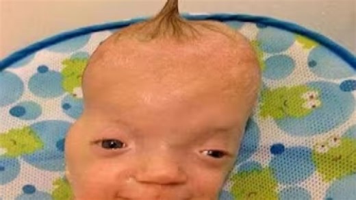 看完感觉大脑被侵犯了的【Meme合集】#57