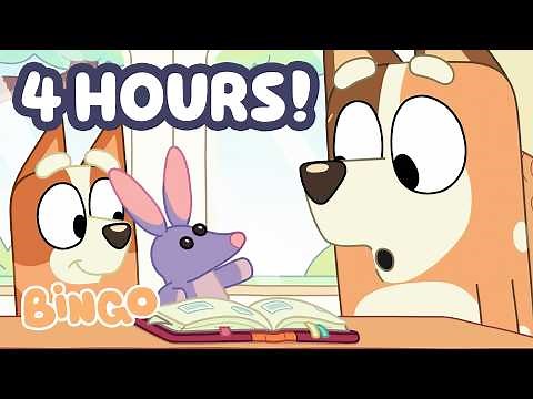 🔴LIVE: Bingo brings Bob-Bilby Home!🧡🦘| Playtime for 4 Hours!| Bingo - Official Channel