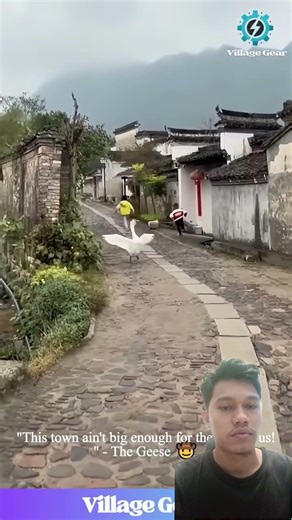 OMG, You Gotta See This ANGRY Cloud Chasing People! 😂 Geese Are the Final Boss of the Farm! #goose