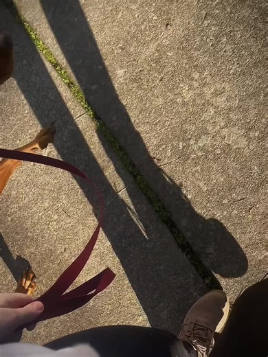 Have had a set back with her heel work but already started doing better