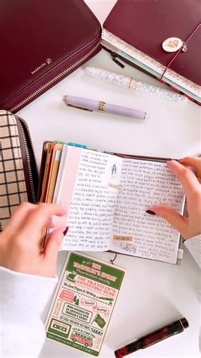 Passport Traveler's Notebook Daily Journal Flipthrough #journal #travelersnotebook