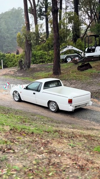 Driveway Dance Moves: Mr. Weatherall in Action