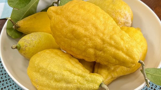 What Is A Citron, And What Does It Taste Like? - Daily Meal