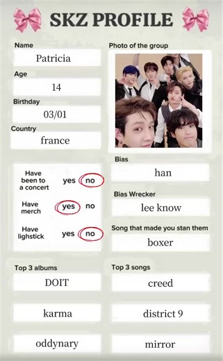 stray kids mon groupe préféré