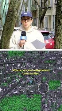 How do trees affect property value?