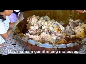 Indigenous Micro Organism (IMO)