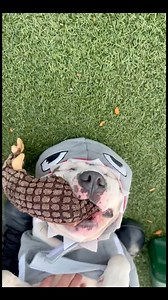 5.6K views · 321 reactions | How cute is this little baby shark? 麗❤️...