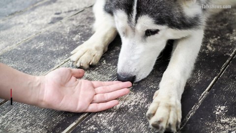10 Surprising Uses for a Shop Vac