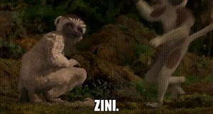 Zini.