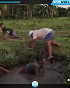 72K views · 1K reactions | 35Most Funny Moments That Will Make Your Day! 藍 | 퐌퐀퐔퐋퐀퐍퐀 퐑퐔퐇 퐔퐋 퐀퐌퐄퐄퐍 | Facebook