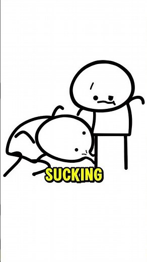 Does Sucking Out Snake Venom Work?