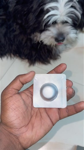 Ma Chotu gadu🐶ki ee tablet 1171 rupees antaa😱#dogs #telugushorts #shorts #trending #viralshorts
