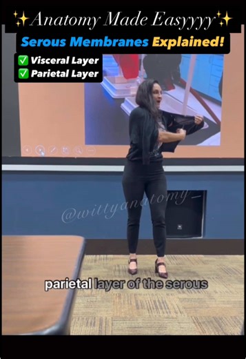 Understanding Serous Membranes in Anatomy Made Easy