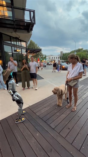 2.5M views · 32K reactions | Robot meets a dog #robot | Rizz Bot | Facebook