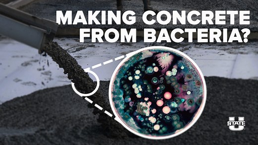 Scientists at USU are finding new sustainable ways to make concrete by using fungi. | Utah State University
