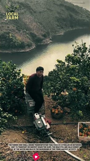 The farmer used small-engine transportation tools such as a stroller or motorized cart to transport